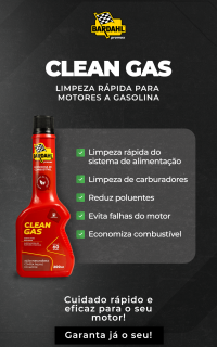 CLEAN GAS_03
